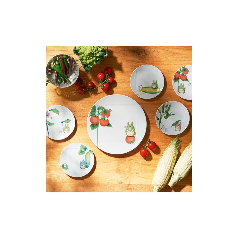 Porcelana japonesa - Plato 27 cm Totoro Tomate - Mi vecino Totoro