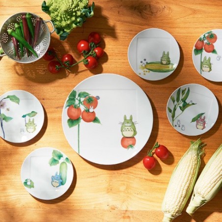 Porcelana japonesa - Plato 27 cm Totoro Tomate - Mi vecino Totoro