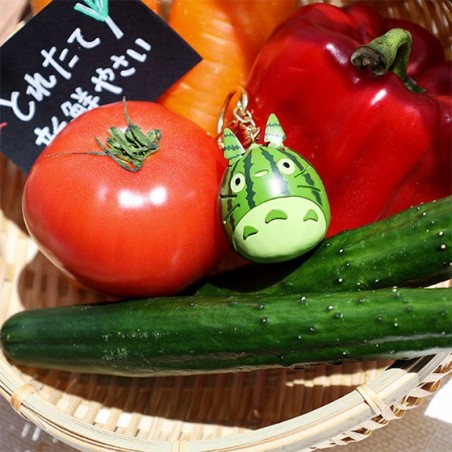 Llaveros - Llavero sandía - Mi vecino Totoro