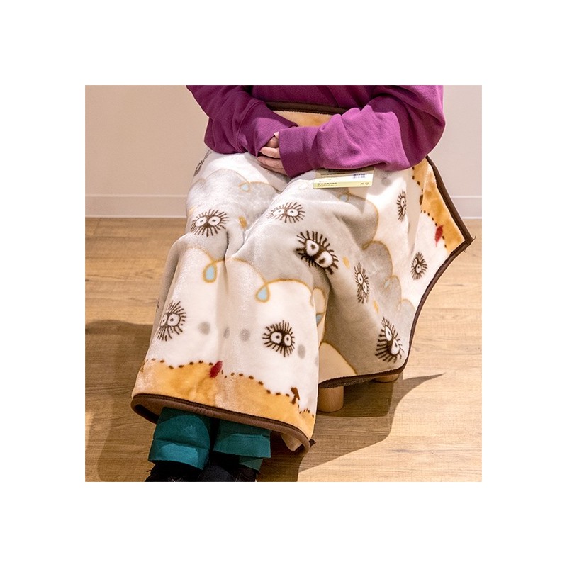 Ropa de hogar - Manta Noiraude 70x100 cm - Mi vecino Totoro