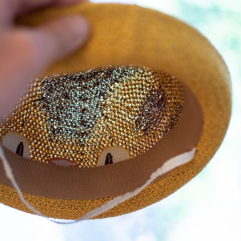 Accesorios - Gorro de punto para niños Totoro Gatobus - Mi vecino Totoro