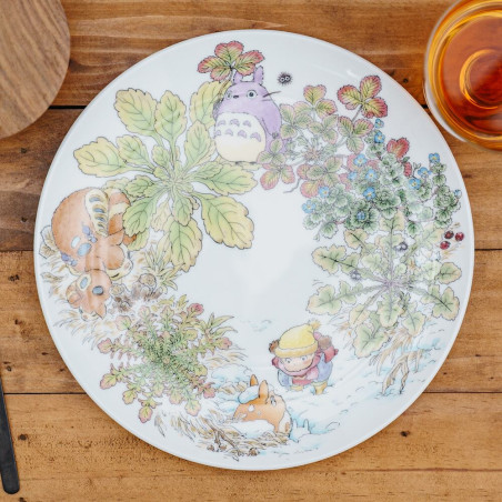 Porcelana japonesa - Plato 23 cm Totoro Ooinuhugri - Mi vecino Tororo