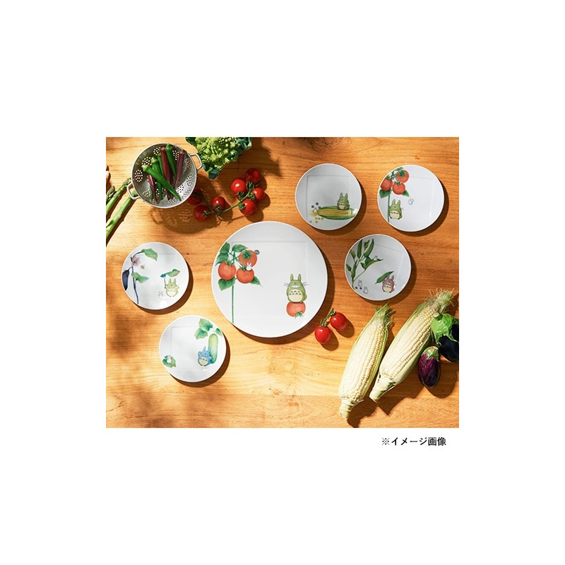 Porcelana japonesa - Plato 27 cm Totoro Berenjena - Mi vecino Totoro