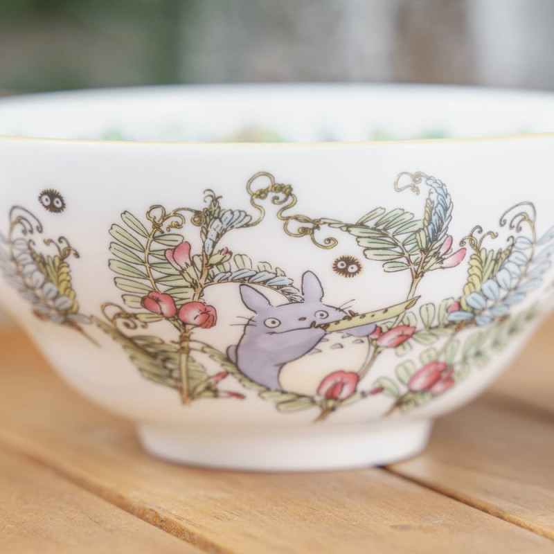 Porcelana japonesa - Arroz con bayas Totoro - Mi vecino Totoro