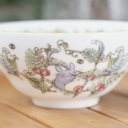 Porcelana japonesa - Arroz con bayas Totoro - Mi vecino Totoro