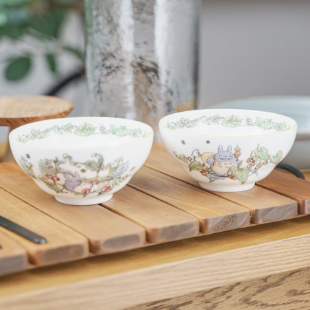 Porcelana japonesa - Arroz con bayas Totoro - Mi vecino Totoro