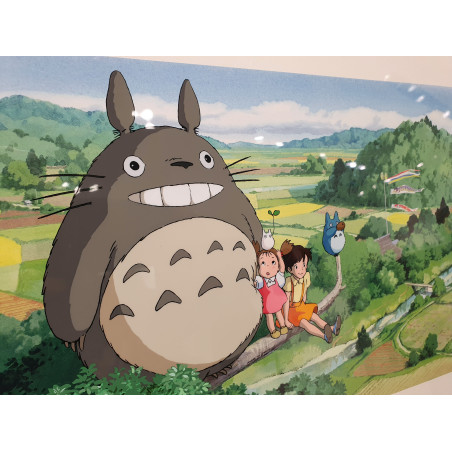 Celuloides de arte – Studio Ghibli - ARTE CELULOIDE TOTORO UN DIA DE VERANO - STUDIO GHIBLI