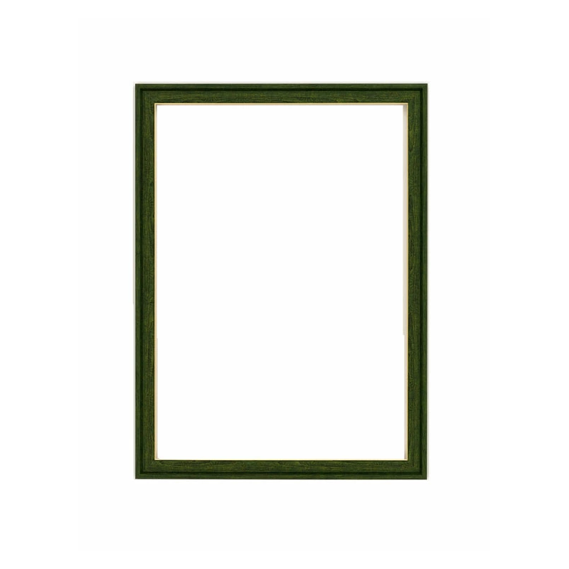 Puzzles - Cadre Puzzle 500P - Vert - Mon Voisin Totoro